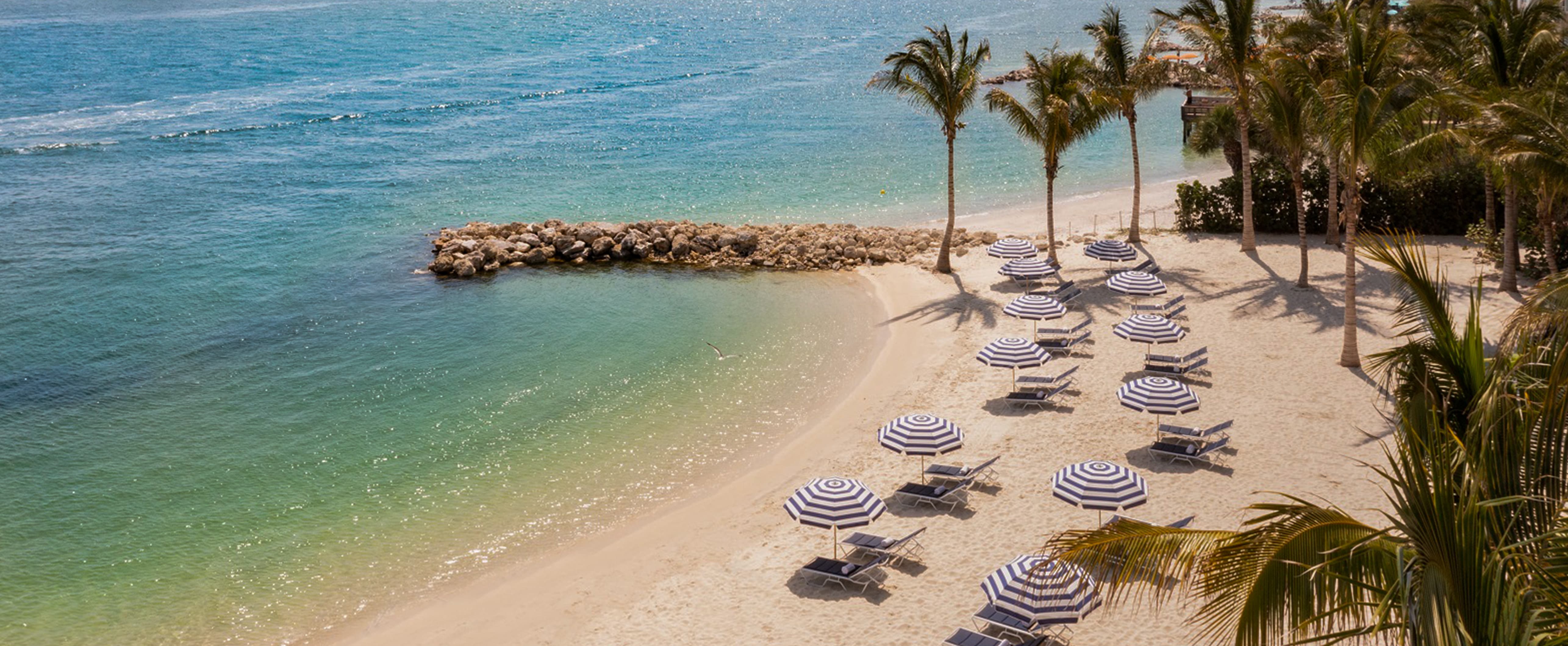 CB9-carousel3 (1).jpg